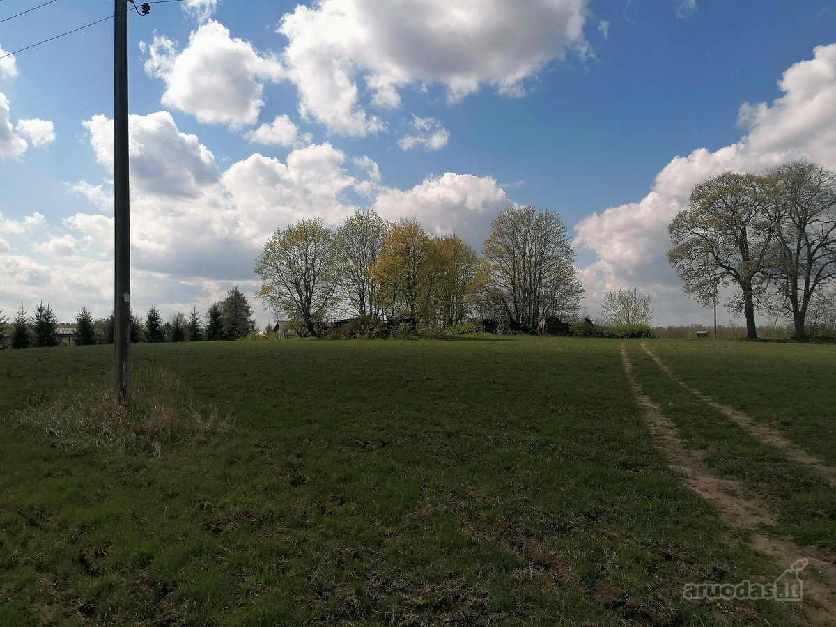 Erdvus Namų Valdos Sklypas Su Infrastruktūra - nuotraukos Nr. 6