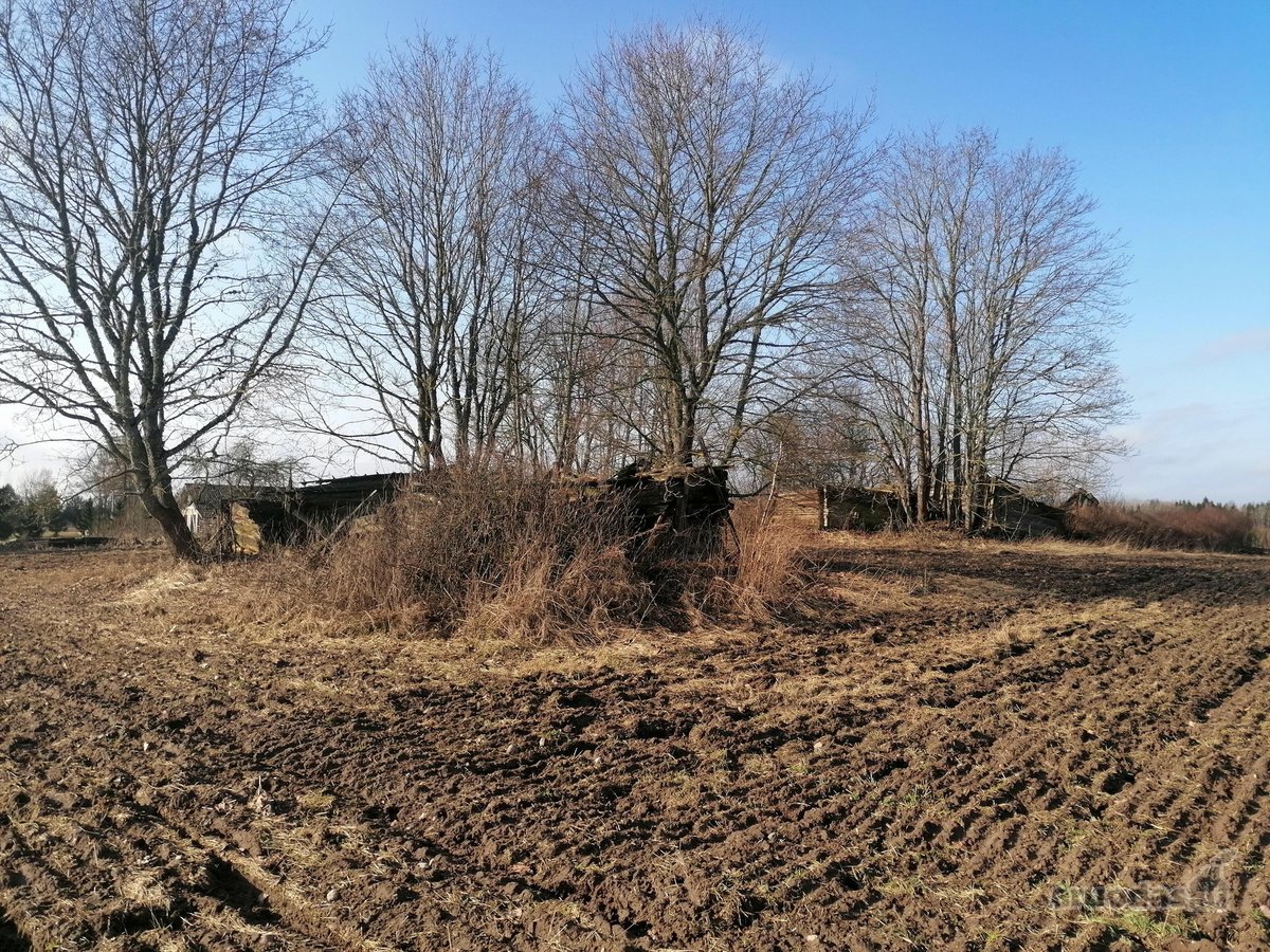 Erdvus Namų Valdos Sklypas Su Infrastruktūra - nuotraukos Nr. 4