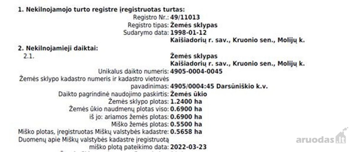 Nuomojama 80 m. Nemuno pakrantė su galimybe - nuotraukos Nr. 5