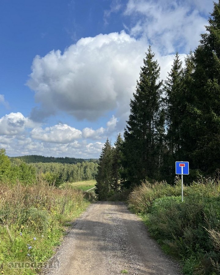 Ramioje Musės upės kilpoje, nedideliame - nuotraukos Nr. 5
