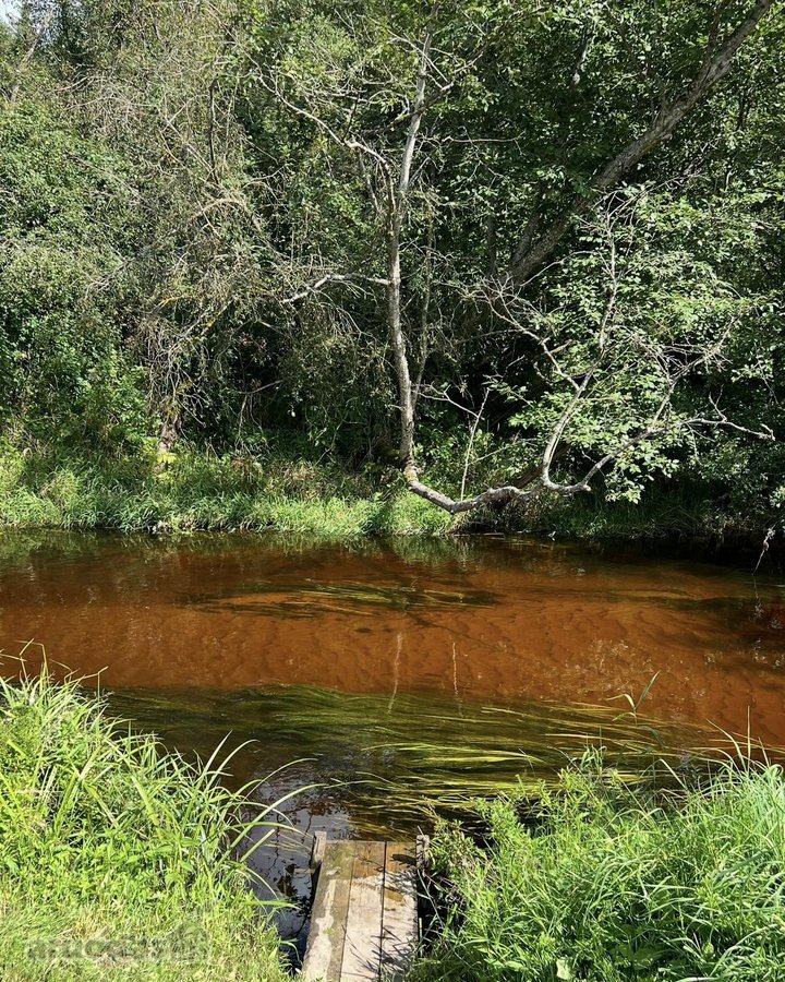 Ramioje Musės upės kilpoje, nedideliame - nuotraukos Nr. 2