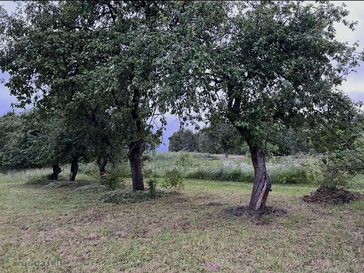 Ramioje Musės upės kilpoje, nedideliame - nuotraukos Nr. 10