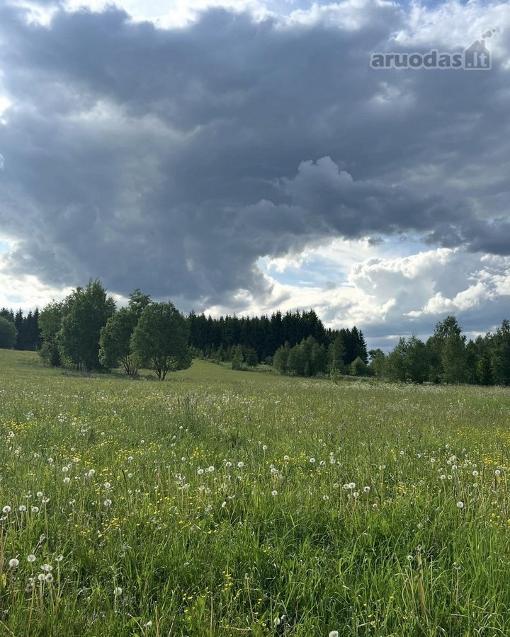 Ramioje Musės upės kilpoje, nedideliame - nuotraukos Nr. 7