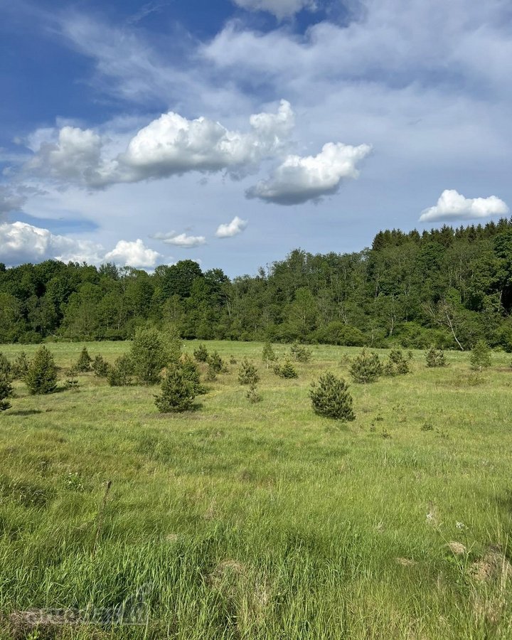 Ramioje Musės upės kilpoje, nedideliame - nuotraukos Nr. 6