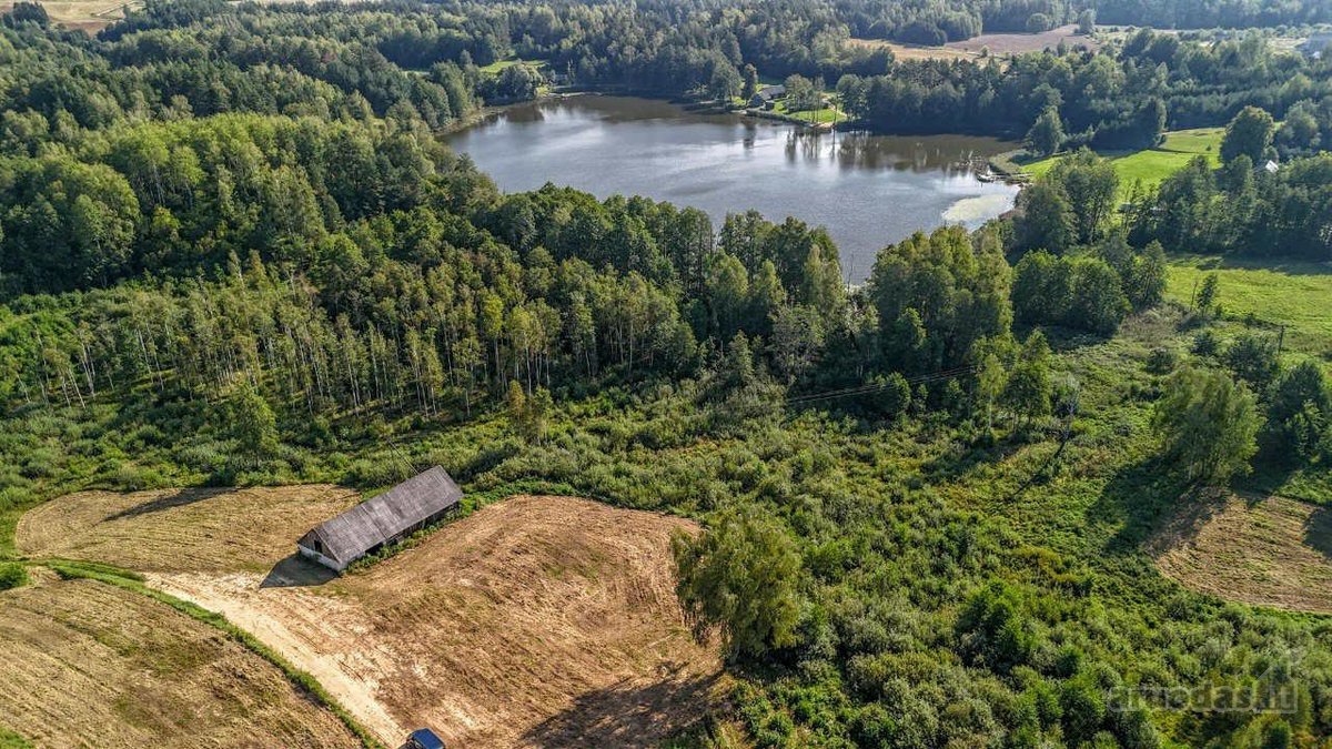 Merkinės sen. Papiškių k.du sklypai vienas - nuotraukos Nr. 6
