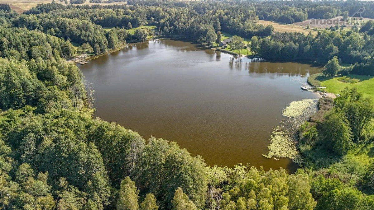 Merkinės sen. Papiškių k.du sklypai vienas - nuotraukos Nr. 7
