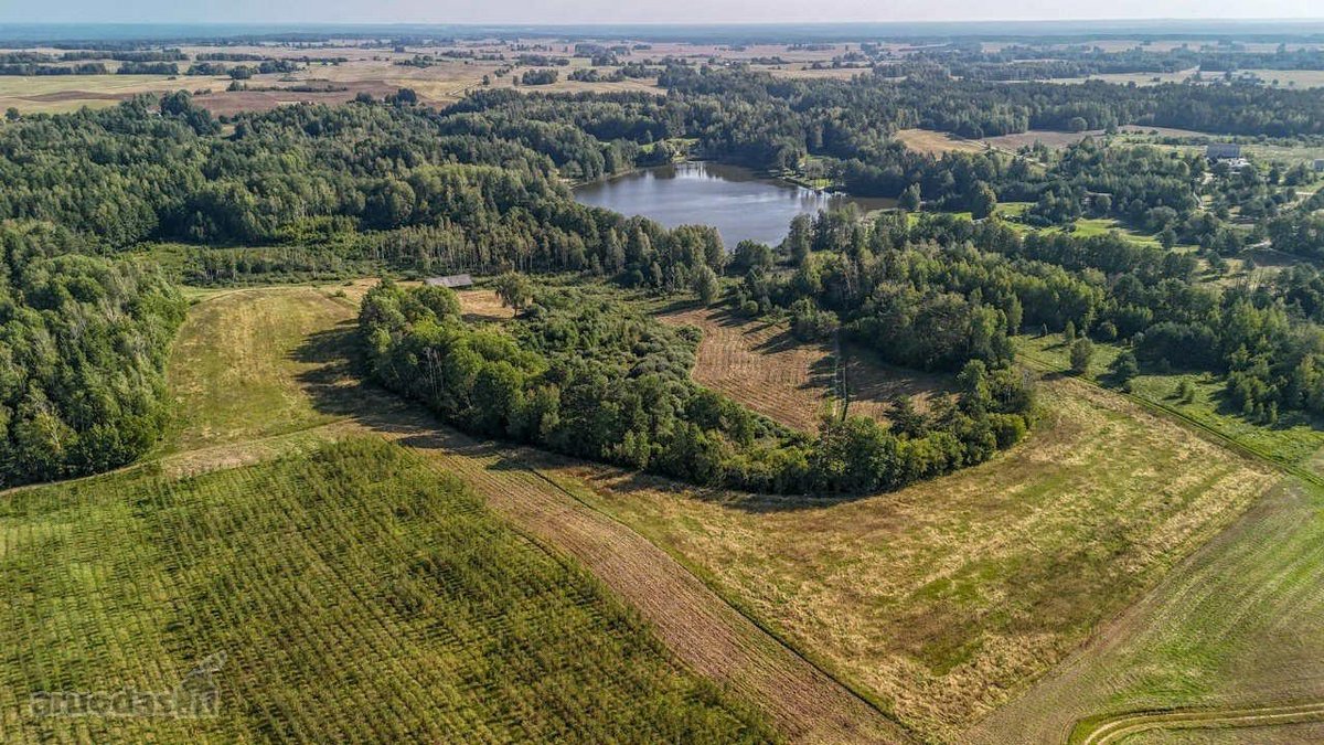 Merkinės sen. Papiškių k.du sklypai vienas - nuotraukos Nr. 11