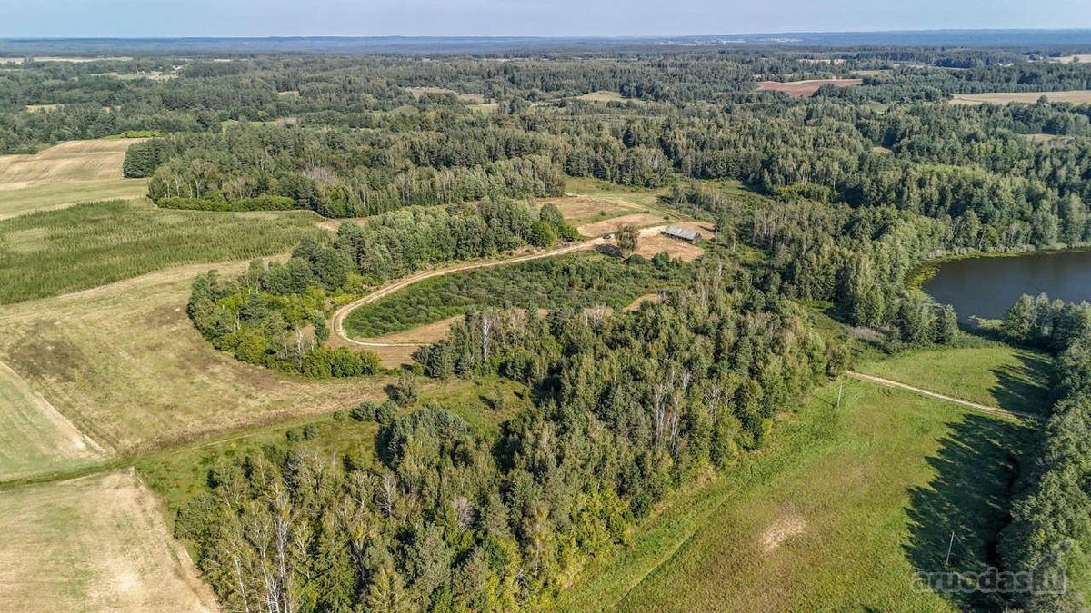 Merkinės sen. Papiškių k.du sklypai vienas - nuotraukos Nr. 12