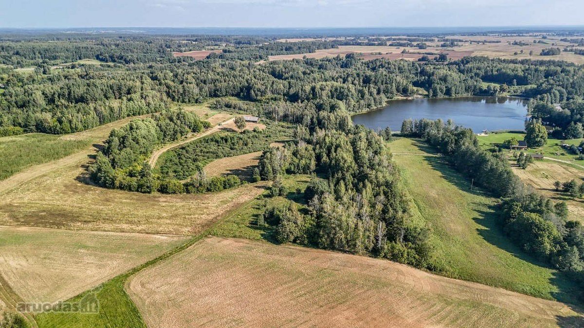 Merkinės sen. Papiškių k.du sklypai vienas - nuotraukos Nr. 10