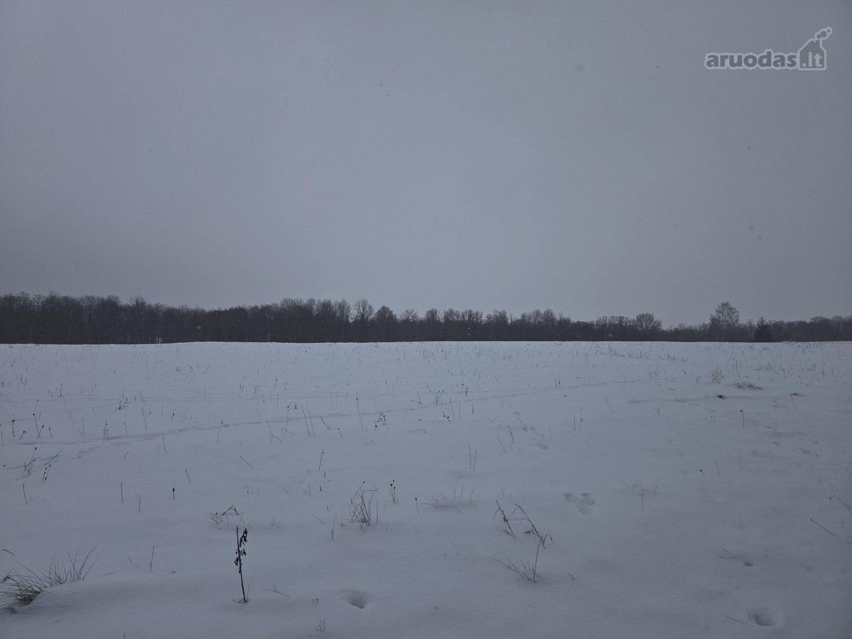 Parduodami 3 sklypai Vėžionyse prie marių - nuotraukos Nr. 3