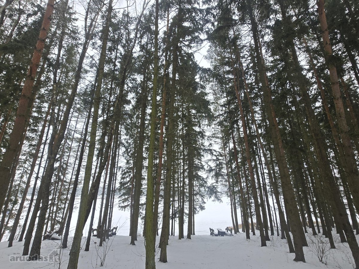 Parduodami 3 sklypai Vėžionyse prie marių - nuotraukos Nr. 7