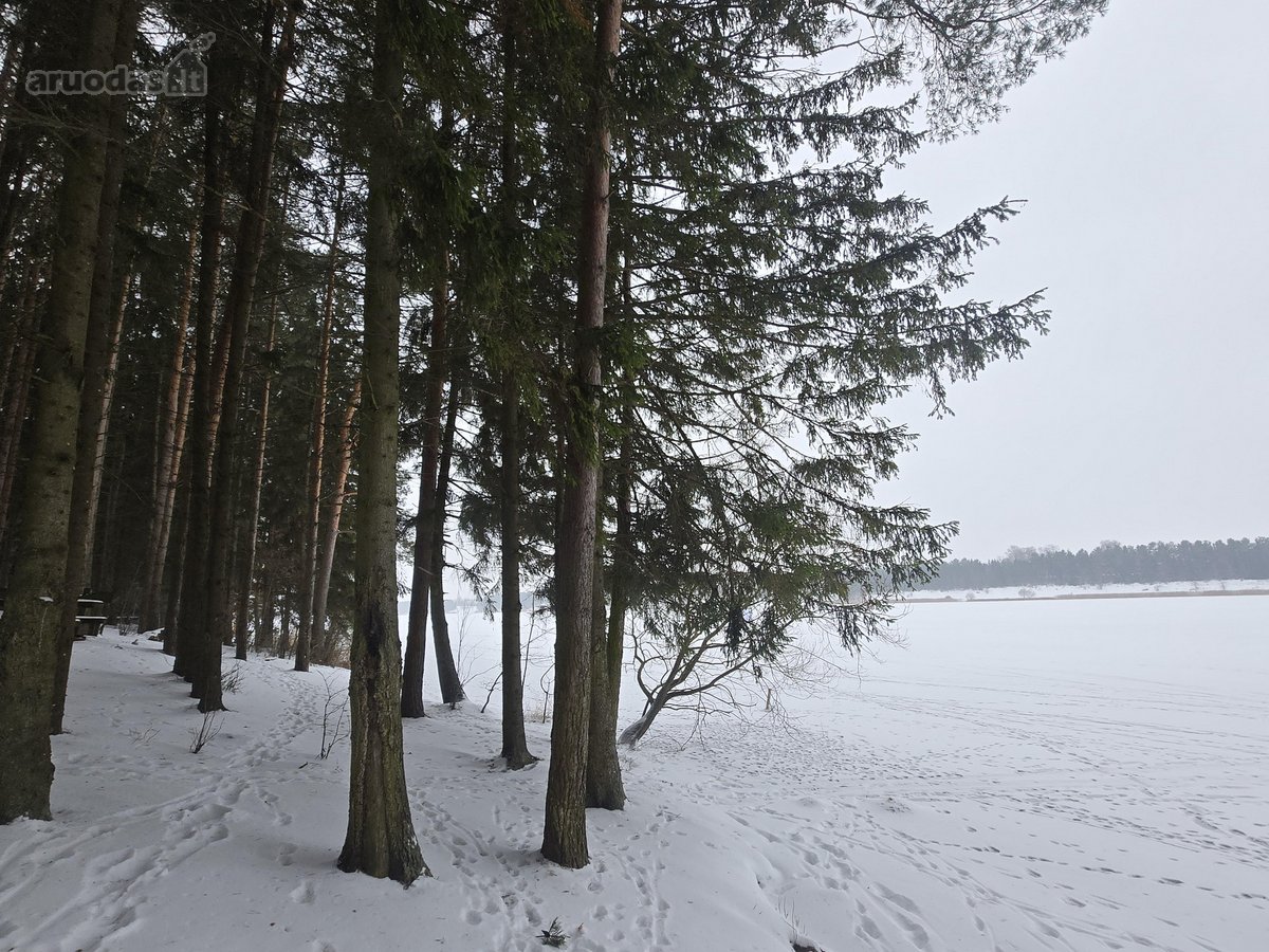 Parduodami 3 sklypai Vėžionyse prie marių - nuotraukos Nr. 8