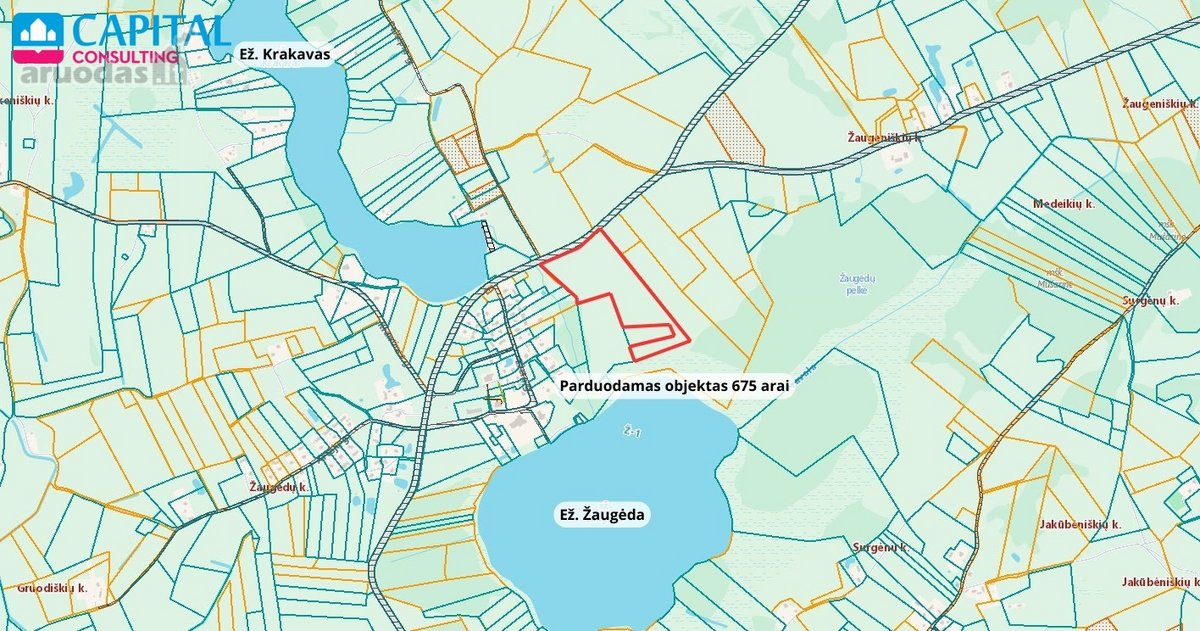 Parduodamas 675 arų žemės ūkio paskirties - nuotraukos Nr. 7