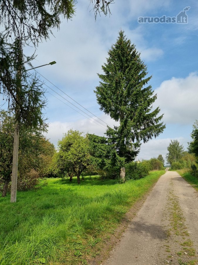 Parduodama Erdvi Sodyba Anykščių R., Aulelių K. - nuotraukos Nr. 11