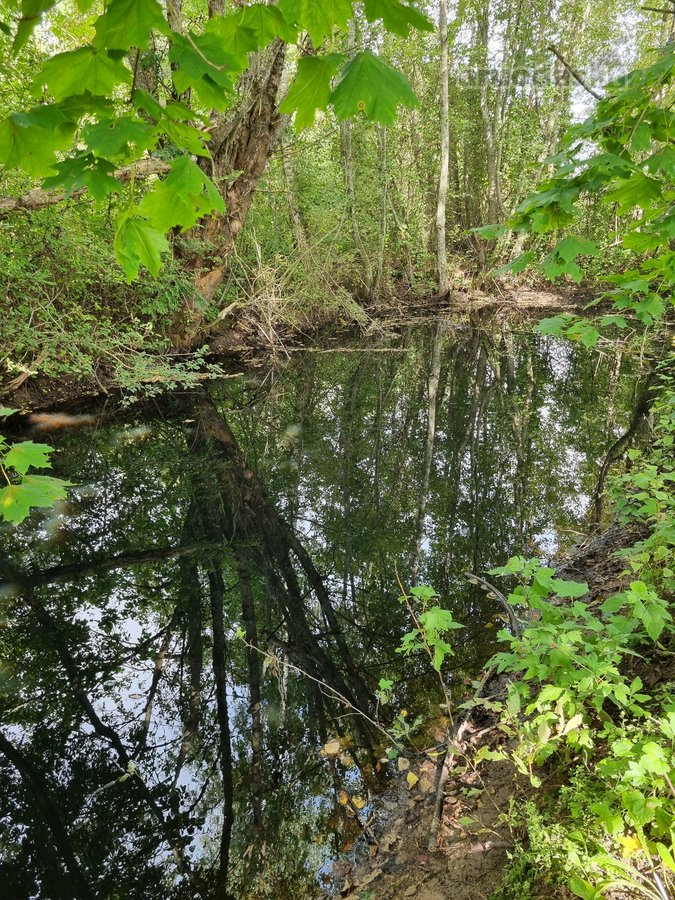 Parduodama Erdvi Sodyba Anykščių R., Aulelių K. - nuotraukos Nr. 6