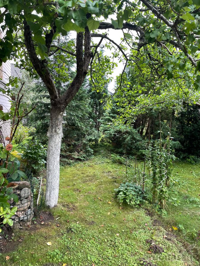 Šnaukštuose parduodamas mūrinis dviejų aukštų - nuotraukos Nr. 15