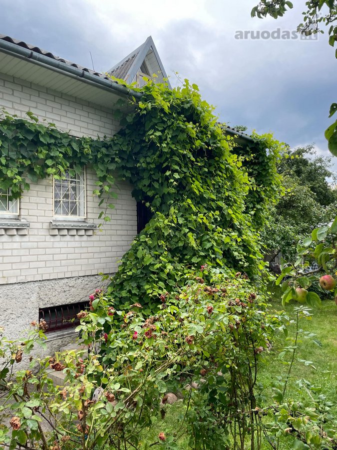 Šnaukštuose parduodamas mūrinis dviejų aukštų - nuotraukos Nr. 11