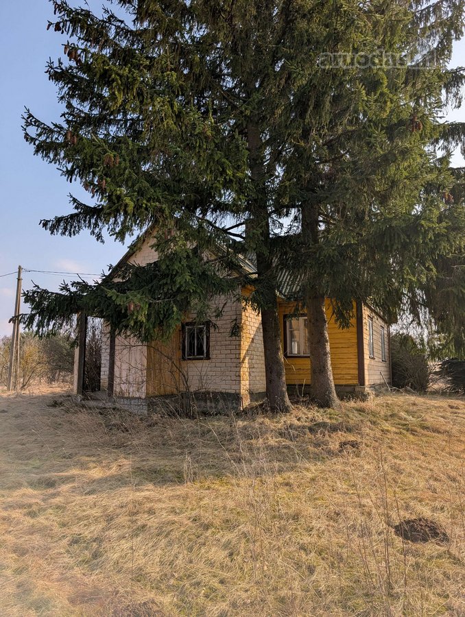 Lazdijų rajone, Ročkių kaime, Trako g.11