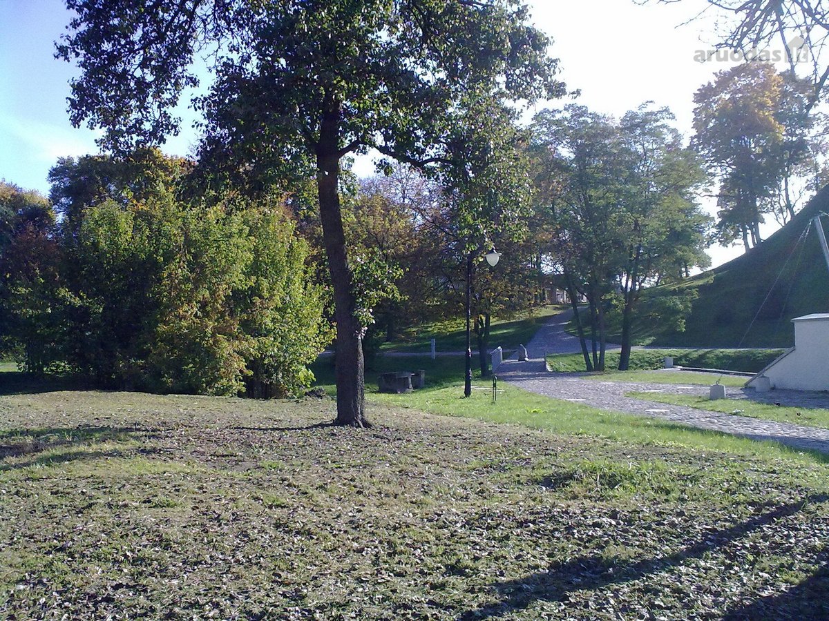 Parduodamas 8 arų namų valdos žemės sklypas - nuotraukos Nr. 13