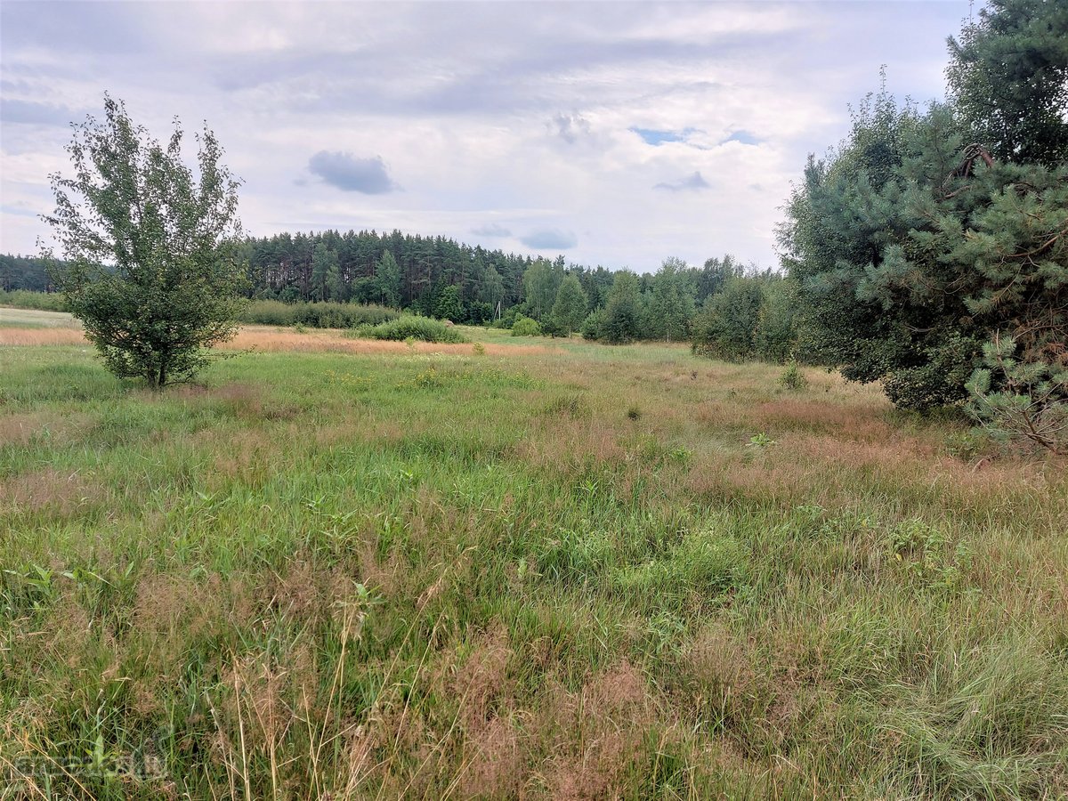 Parduodamas žemės ūkio paskirties sklypas - nuotraukos Nr. 5