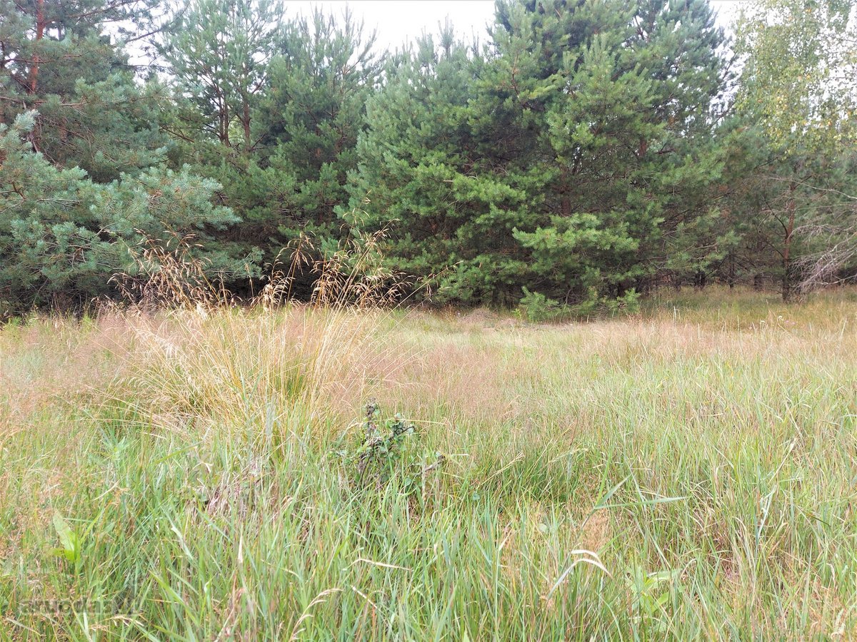 Parduodamas žemės ūkio paskirties sklypas - nuotraukos Nr. 3