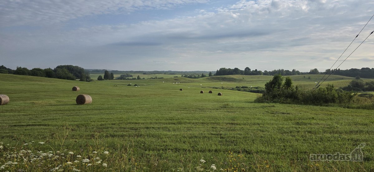 Parduodamas 4 ha. žemės ūkio paskirties - nuotraukos Nr. 3