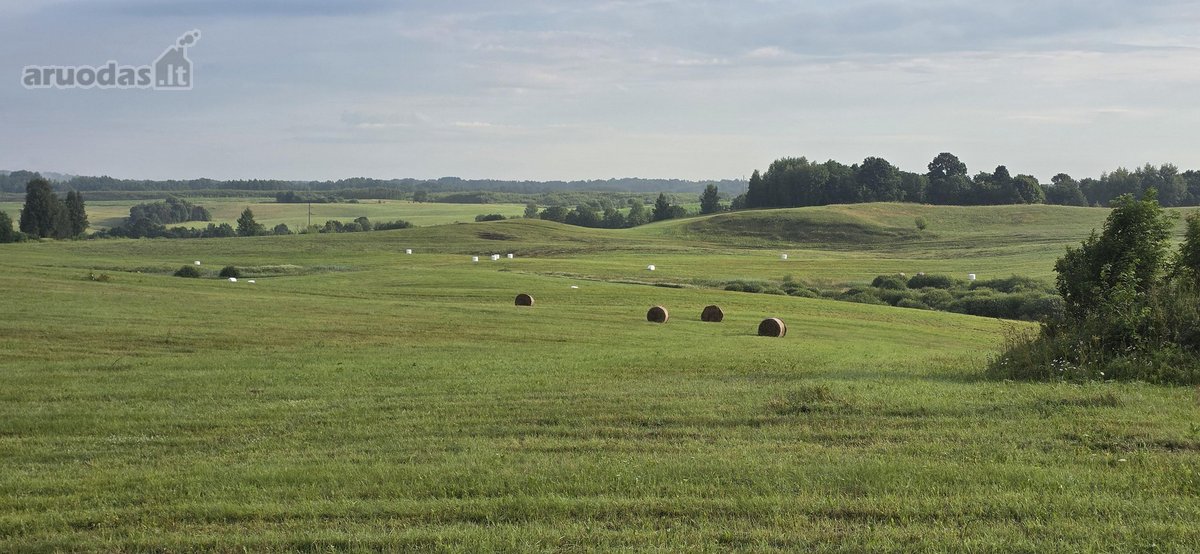 Parduodamas 4 ha. žemės ūkio paskirties - nuotraukos Nr. 2