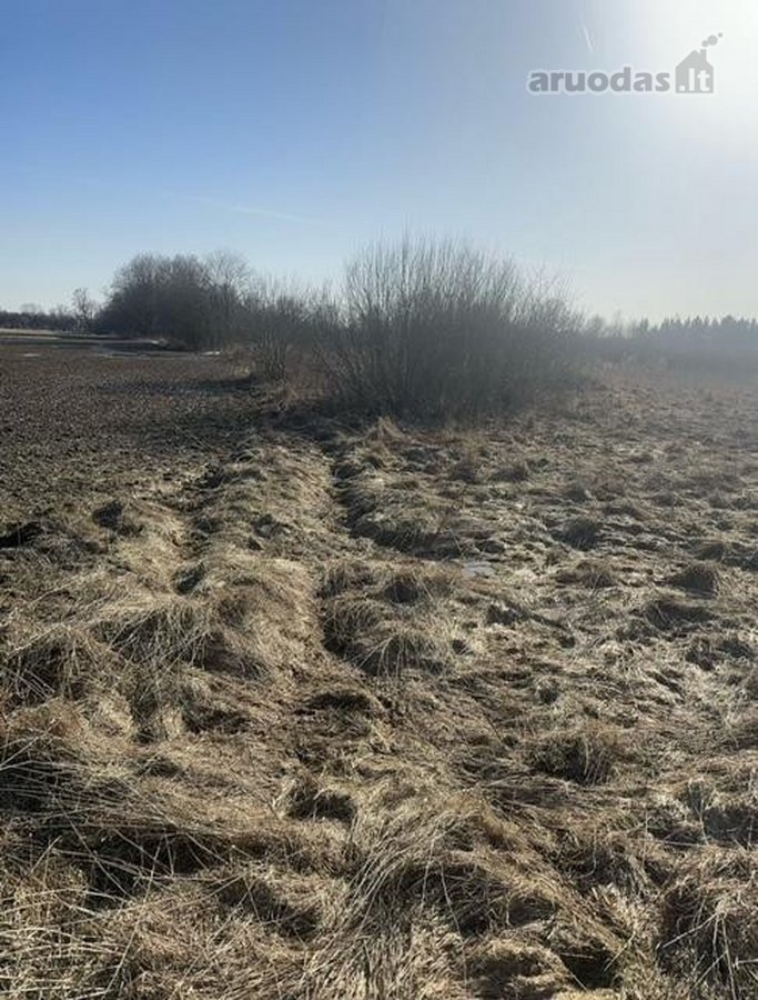 Ukmergės r. sav., Sližių k. - nuotraukos Nr. 2