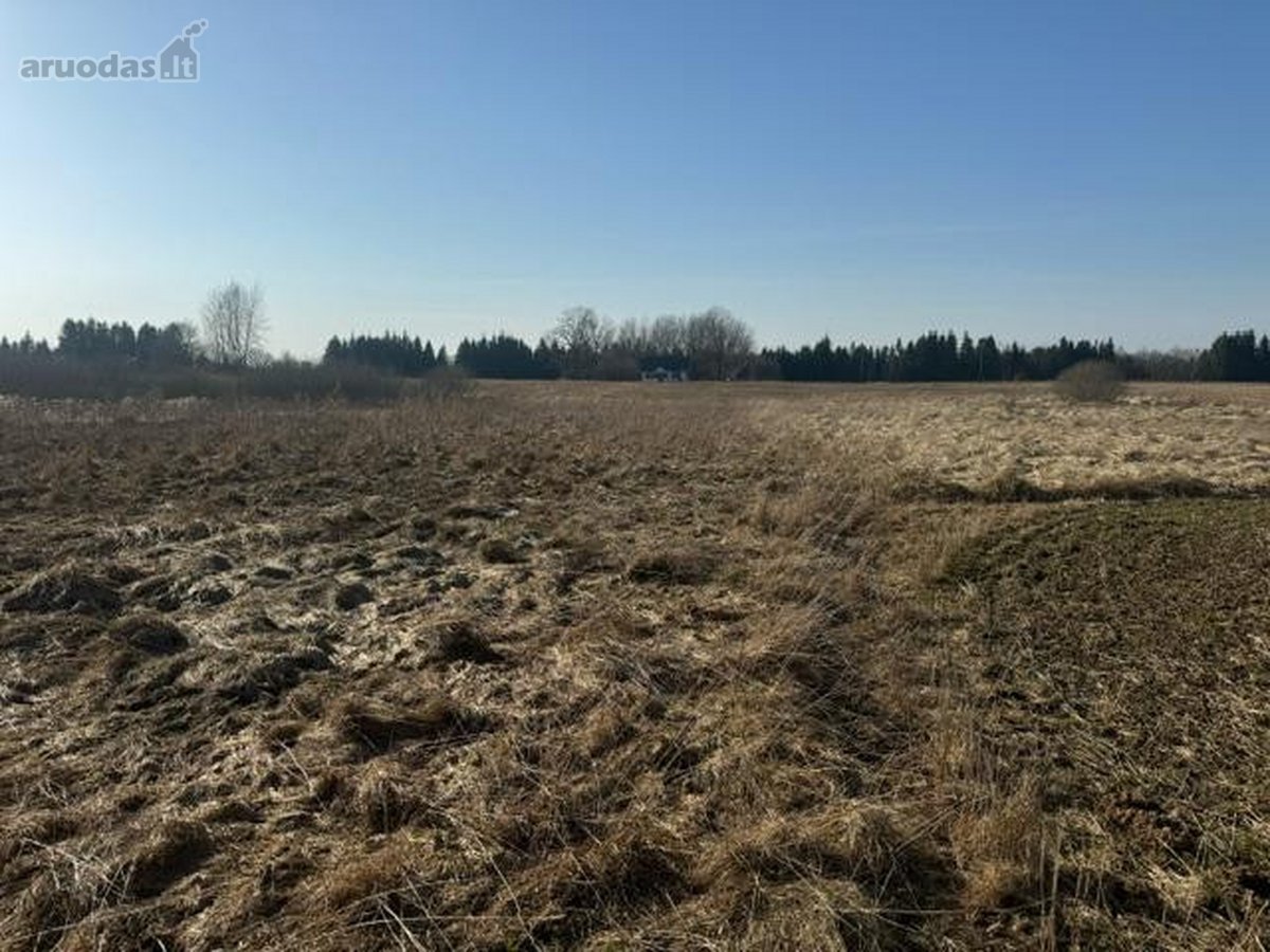 Ukmergės r. sav., Sližių k. - nuotraukos Nr. 3