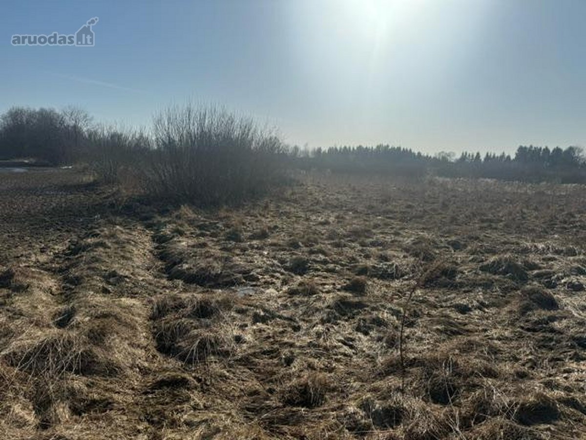 Ukmergės r. sav., Sližių k. - nuotraukos Nr. 4