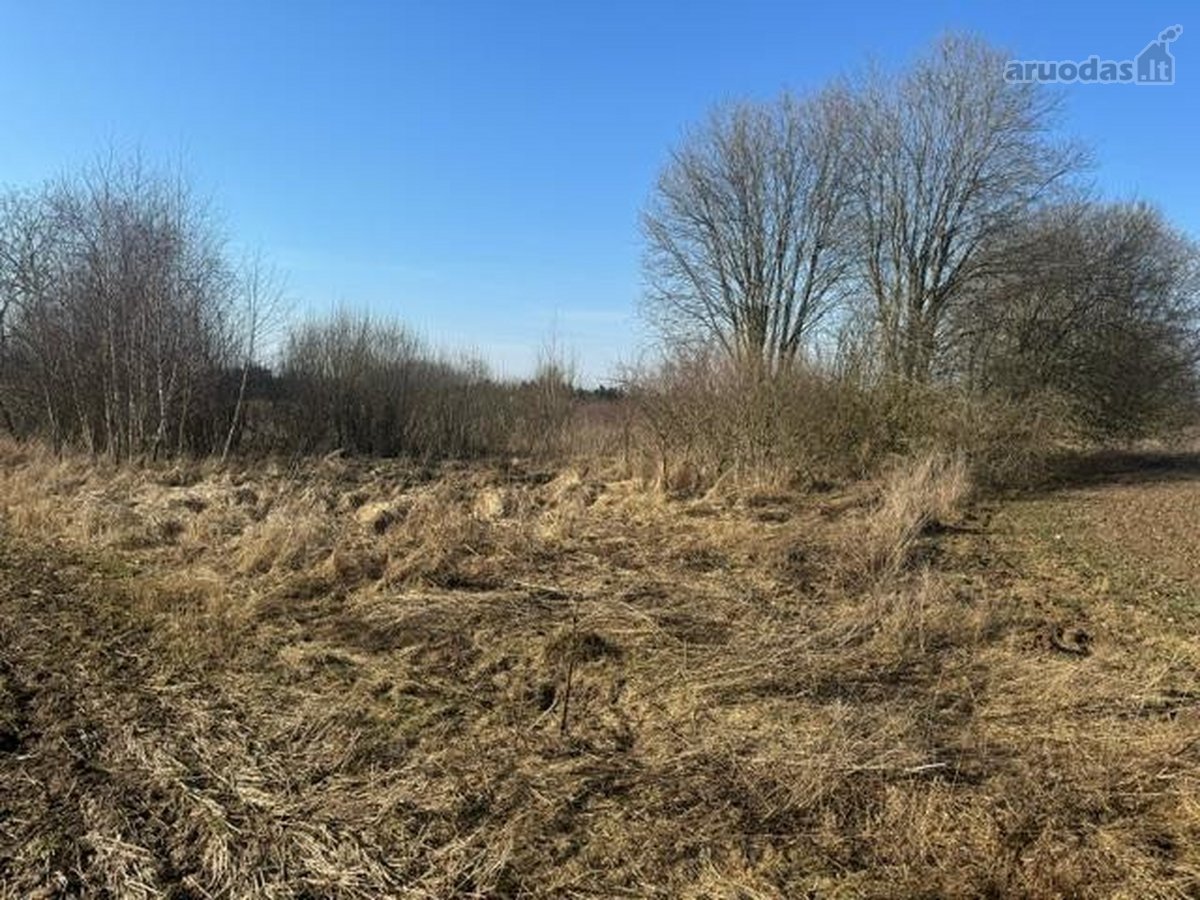 Ukmergės r. sav., Sližių k. - nuotraukos Nr. 5
