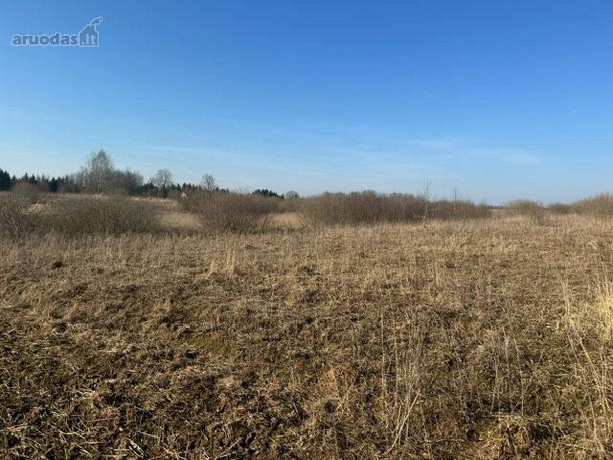 Ukmergės r. sav., Sližių k. - nuotraukos Nr. 6