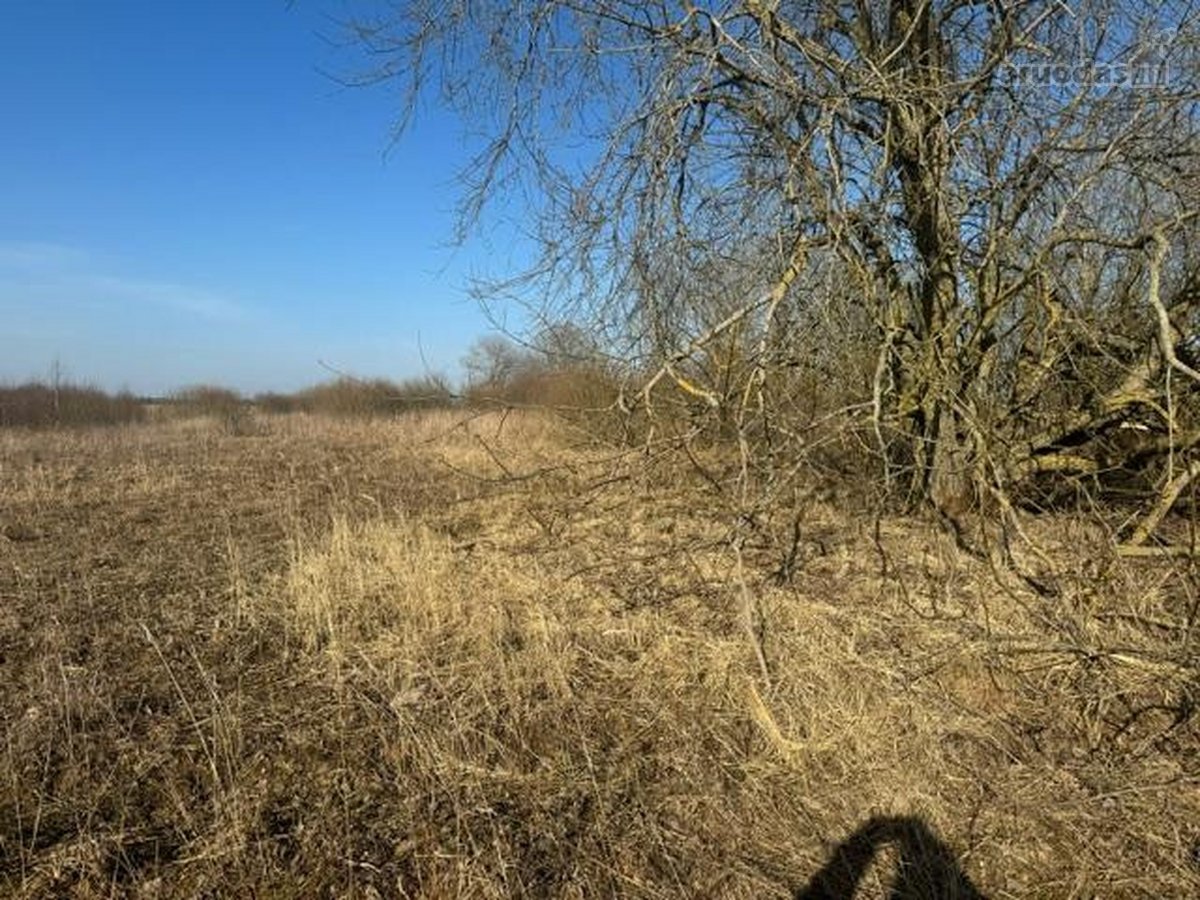 Ukmergės r. sav., Sližių k. - nuotraukos Nr. 7