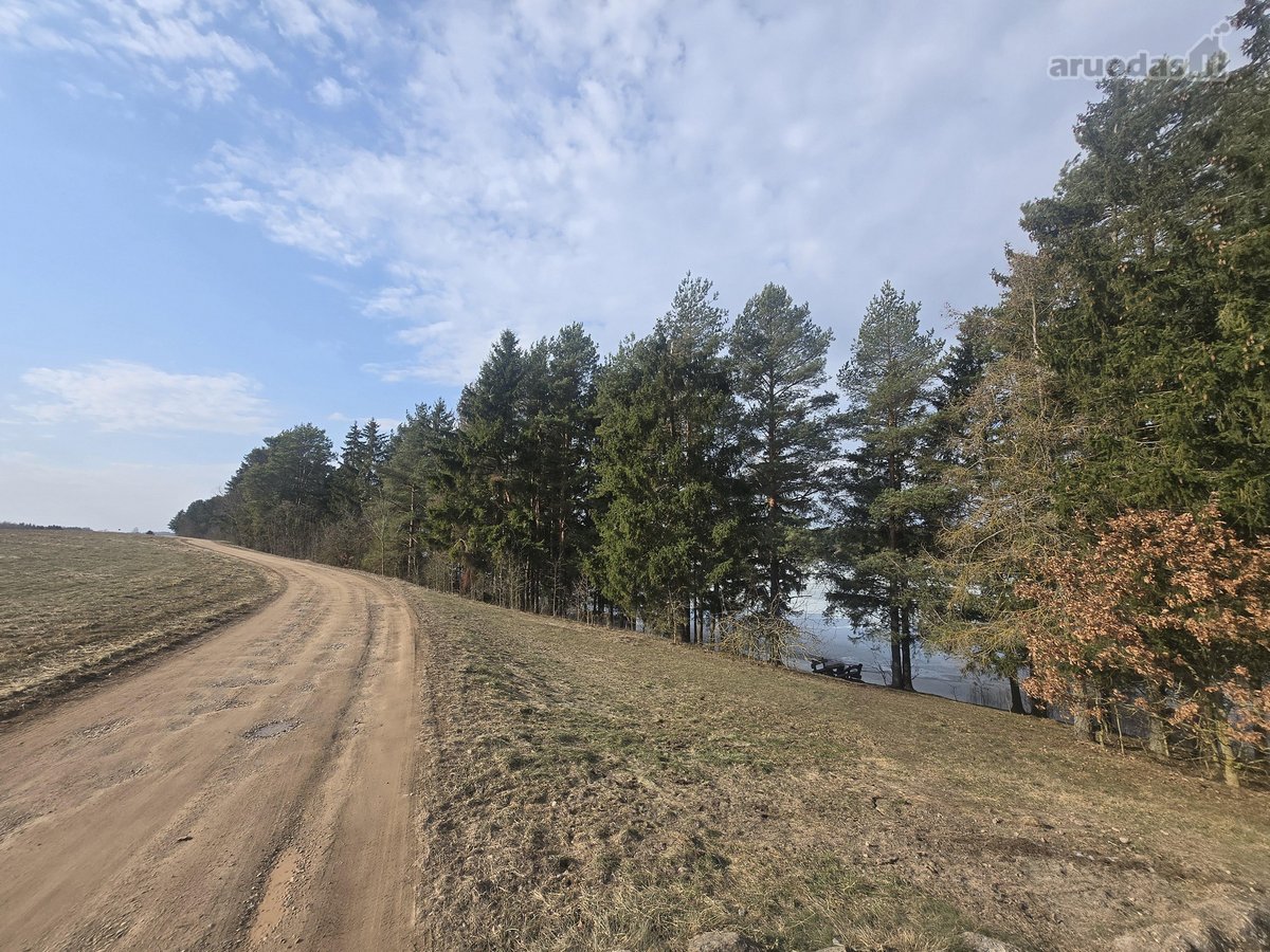 Parduodami 3 sklypai Vėžionyse prie marių - nuotraukos Nr. 13