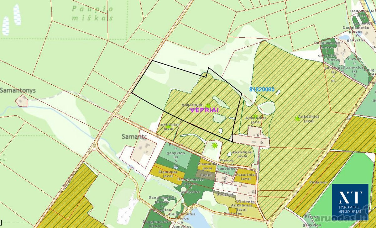 Parduodamas 9.26 ha žemės ūkio su mišku - nuotraukos Nr. 4