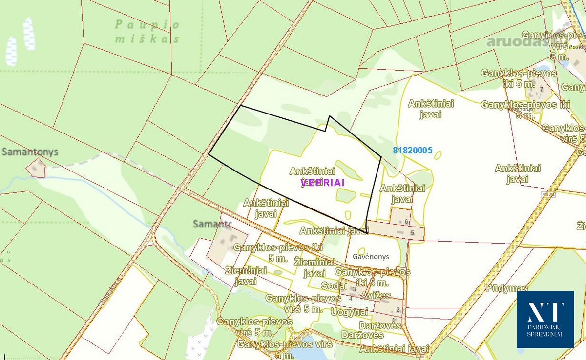 Parduodamas 9.26 ha žemės ūkio su mišku - nuotraukos Nr. 5