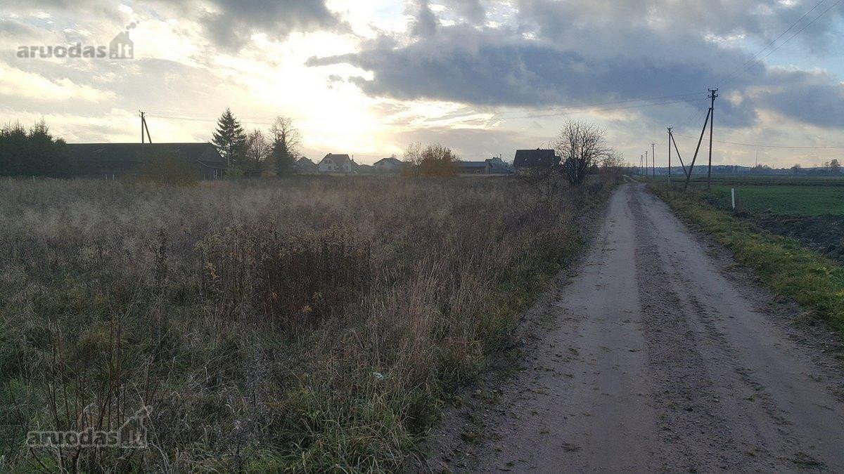 12,5 a namų valdos sklypas - geroje vietoje