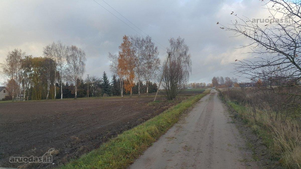 12,5 a namų valdos sklypas - geroje vietoje - nuotraukos Nr. 2