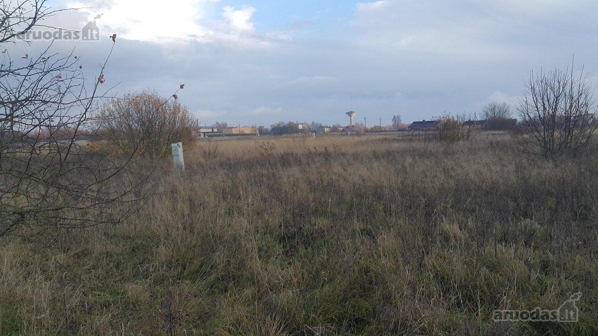12,5 a namų valdos sklypas - geroje vietoje - nuotraukos Nr. 3