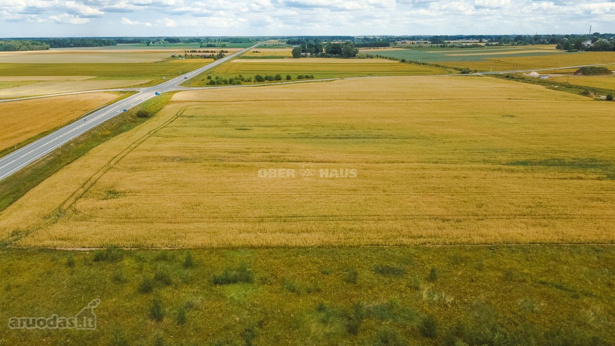 Parduodami Trys Komercinės Paskirties Sklypai - nuotraukos Nr. 9