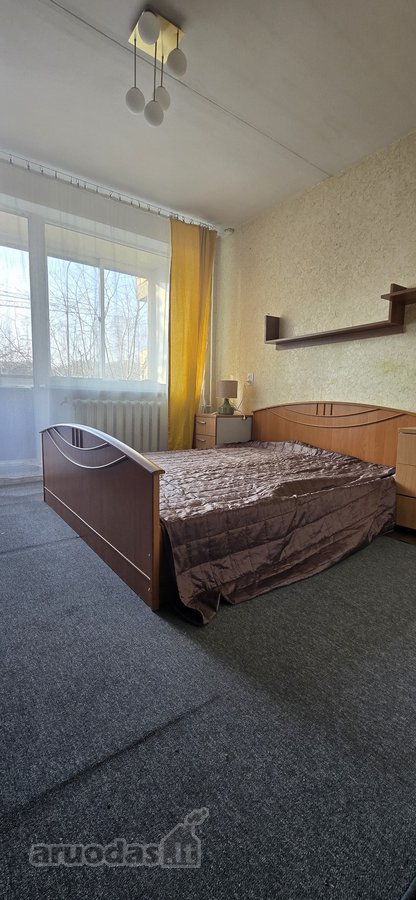 Bukčių g., pušyno apsuptyje, šalia Neries – - nuotraukos Nr. 11