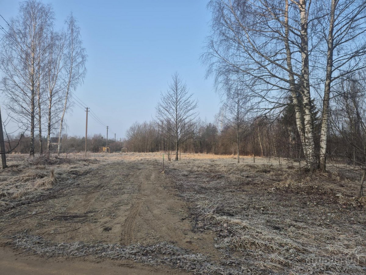 Parduodamas tvarkingas ir erdvus 11,4 aro - nuotraukos Nr. 2