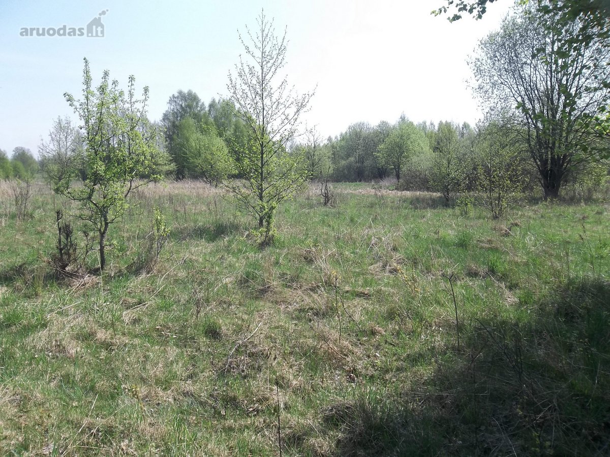 Parduodamas 3,26 ha žemės ūkio paskirties