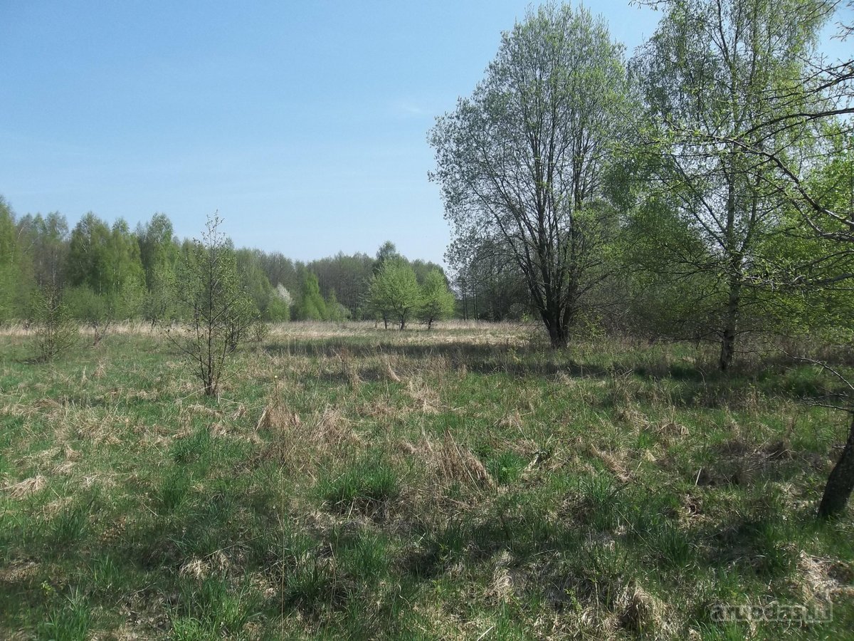 Parduodamas 3,26 ha žemės ūkio paskirties - nuotraukos Nr. 3