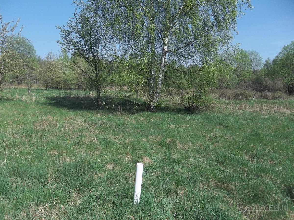 Parduodamas 3,26 ha žemės ūkio paskirties - nuotraukos Nr. 4