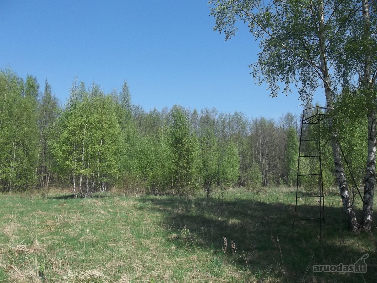 Parduodamas 3,26 ha žemės ūkio paskirties - nuotraukos Nr. 5