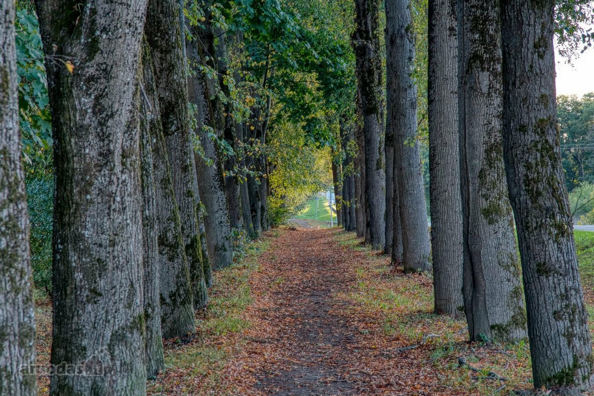 Parduodu butą. Su naujais baldais, buitine - nuotraukos Nr. 19