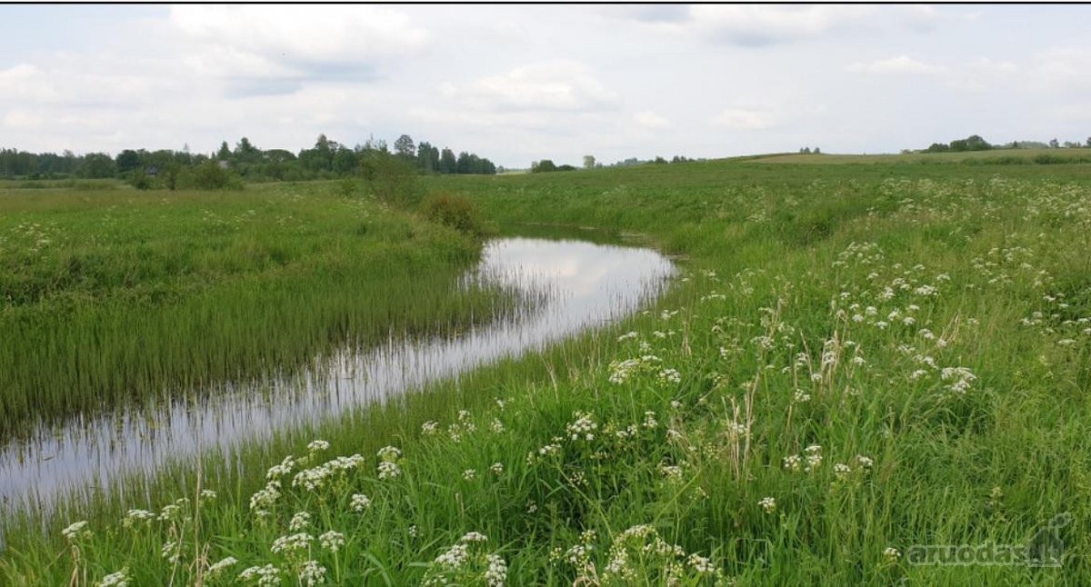 Parduodamas 260 arų sklypas su leidimu