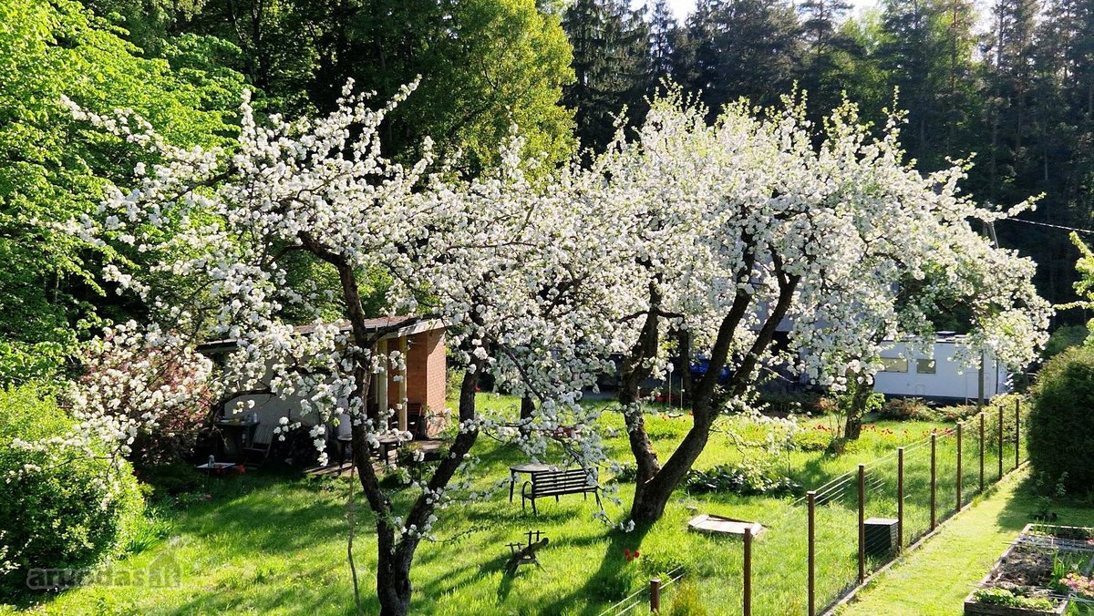 Parduodamas Namas Šalia Verkių Regioninio Parko - nuotraukos Nr. 6