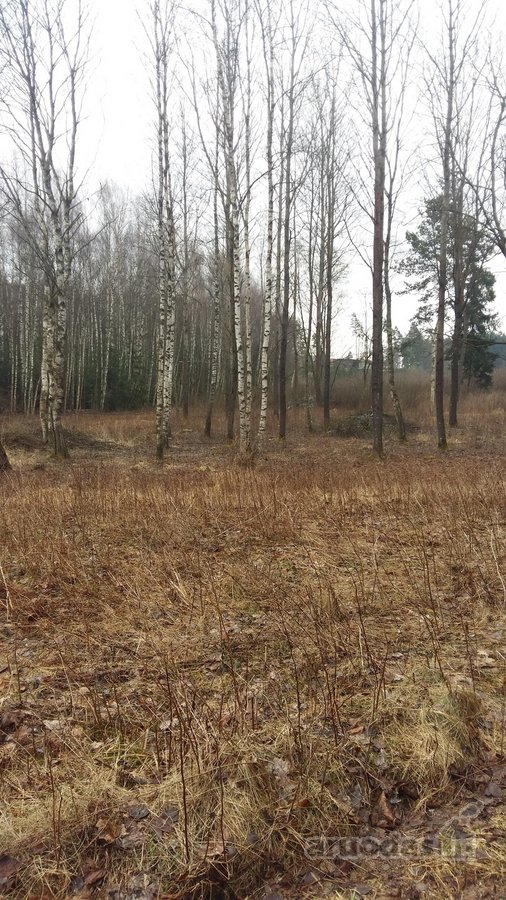 Sklypas yra nedidelėje, jaukioje Antaniškių - nuotraukos Nr. 3